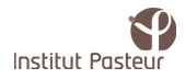 logo institut pasteur ddi2012 XXV ICMRBS Tuberculosis 2012